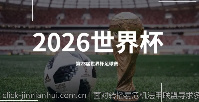 面对转播费危机法甲联盟寻求多元合作策略