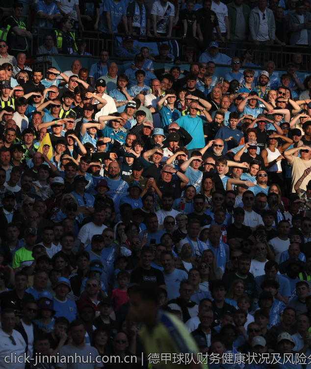 德甲球队财务健康状况及风险分析